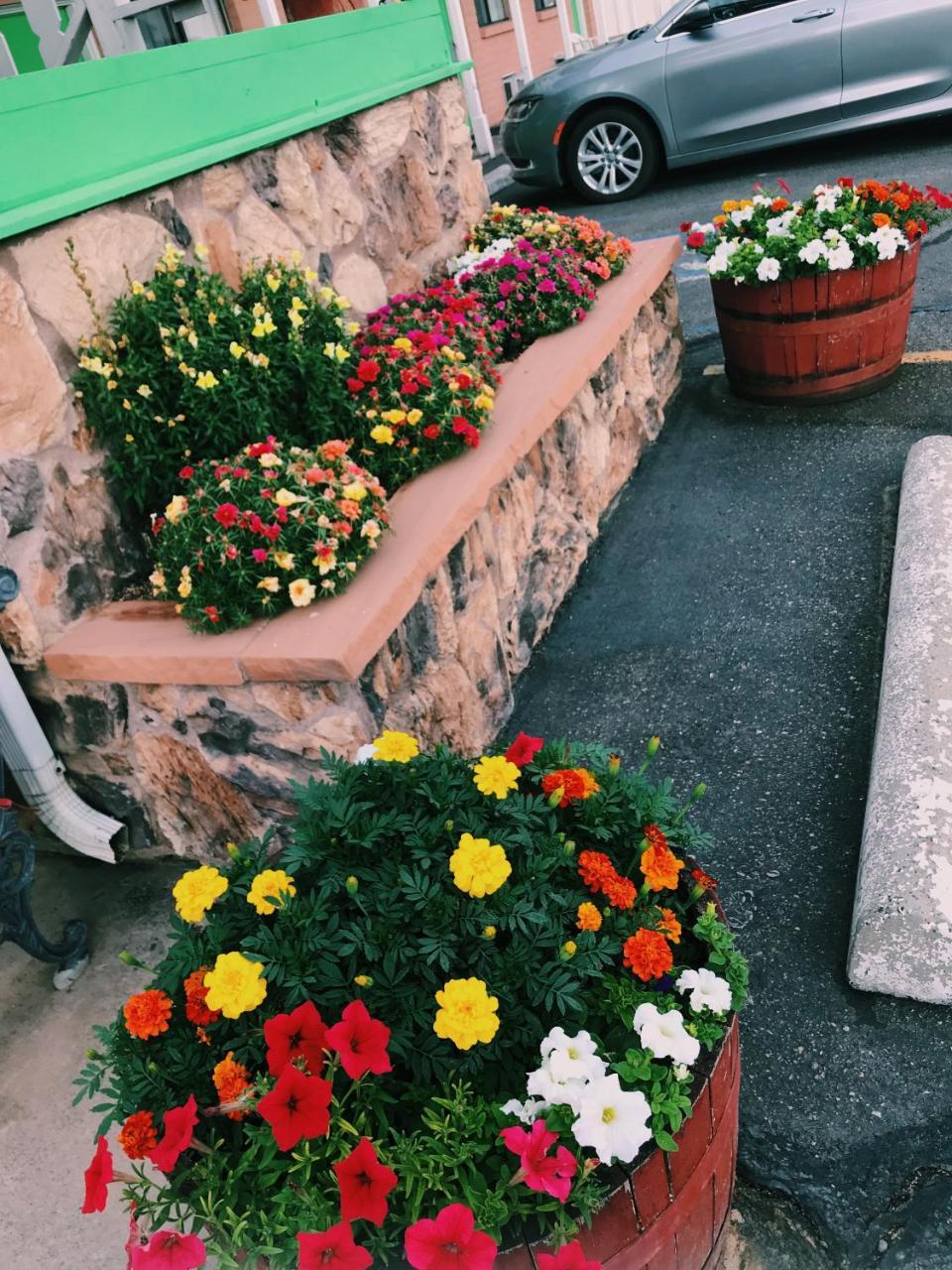 Value Lodge Inn Делта Екстериор снимка